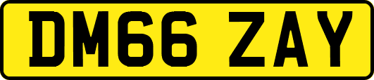 DM66ZAY