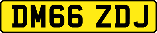 DM66ZDJ