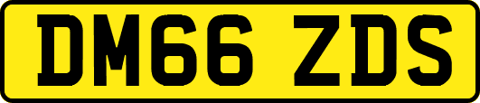 DM66ZDS