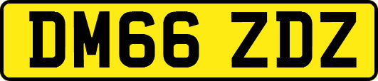 DM66ZDZ