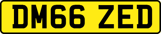 DM66ZED