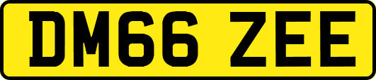 DM66ZEE