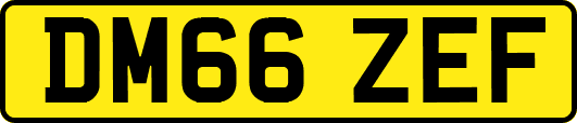 DM66ZEF