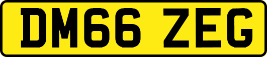 DM66ZEG