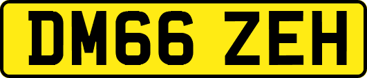 DM66ZEH