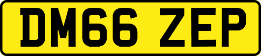 DM66ZEP