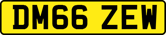 DM66ZEW