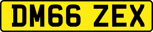 DM66ZEX