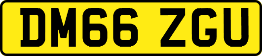 DM66ZGU
