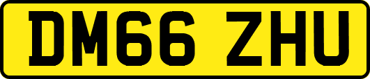 DM66ZHU