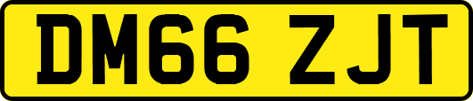 DM66ZJT