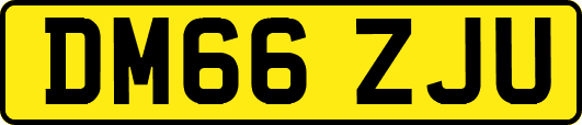 DM66ZJU