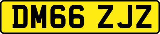DM66ZJZ