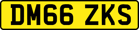 DM66ZKS