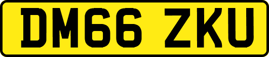 DM66ZKU