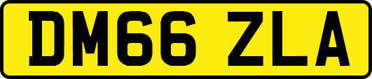 DM66ZLA