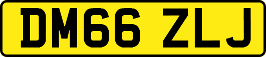 DM66ZLJ