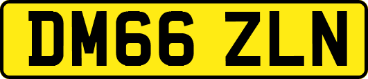 DM66ZLN
