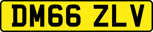 DM66ZLV