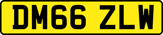 DM66ZLW