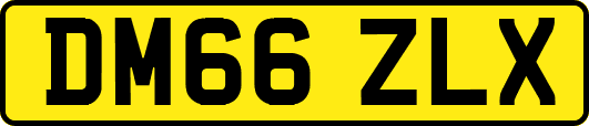 DM66ZLX