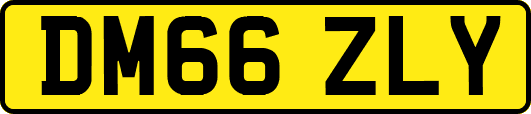 DM66ZLY