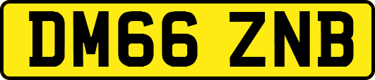 DM66ZNB