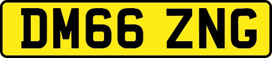 DM66ZNG