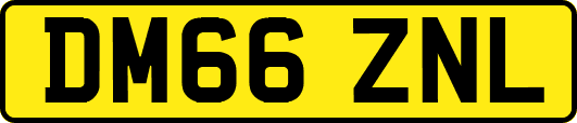 DM66ZNL