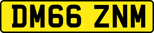 DM66ZNM