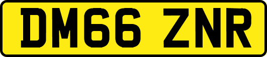 DM66ZNR
