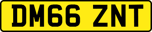 DM66ZNT