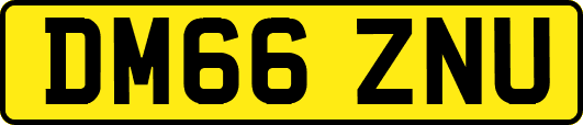 DM66ZNU