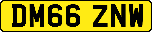 DM66ZNW