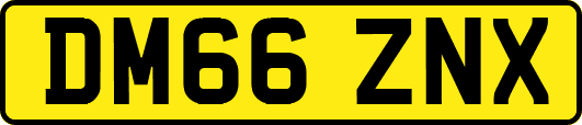 DM66ZNX