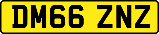 DM66ZNZ