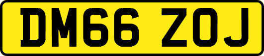 DM66ZOJ