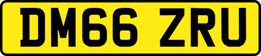 DM66ZRU