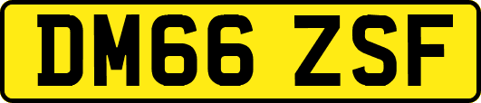 DM66ZSF
