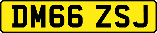 DM66ZSJ