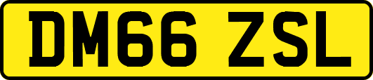 DM66ZSL