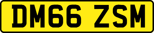DM66ZSM