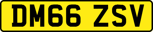 DM66ZSV