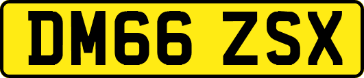 DM66ZSX