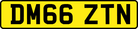 DM66ZTN