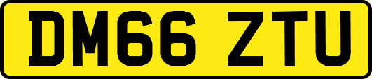 DM66ZTU
