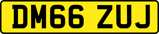 DM66ZUJ