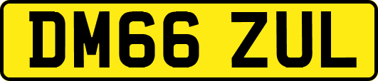 DM66ZUL
