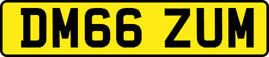 DM66ZUM