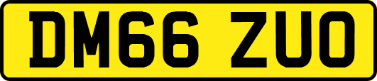 DM66ZUO